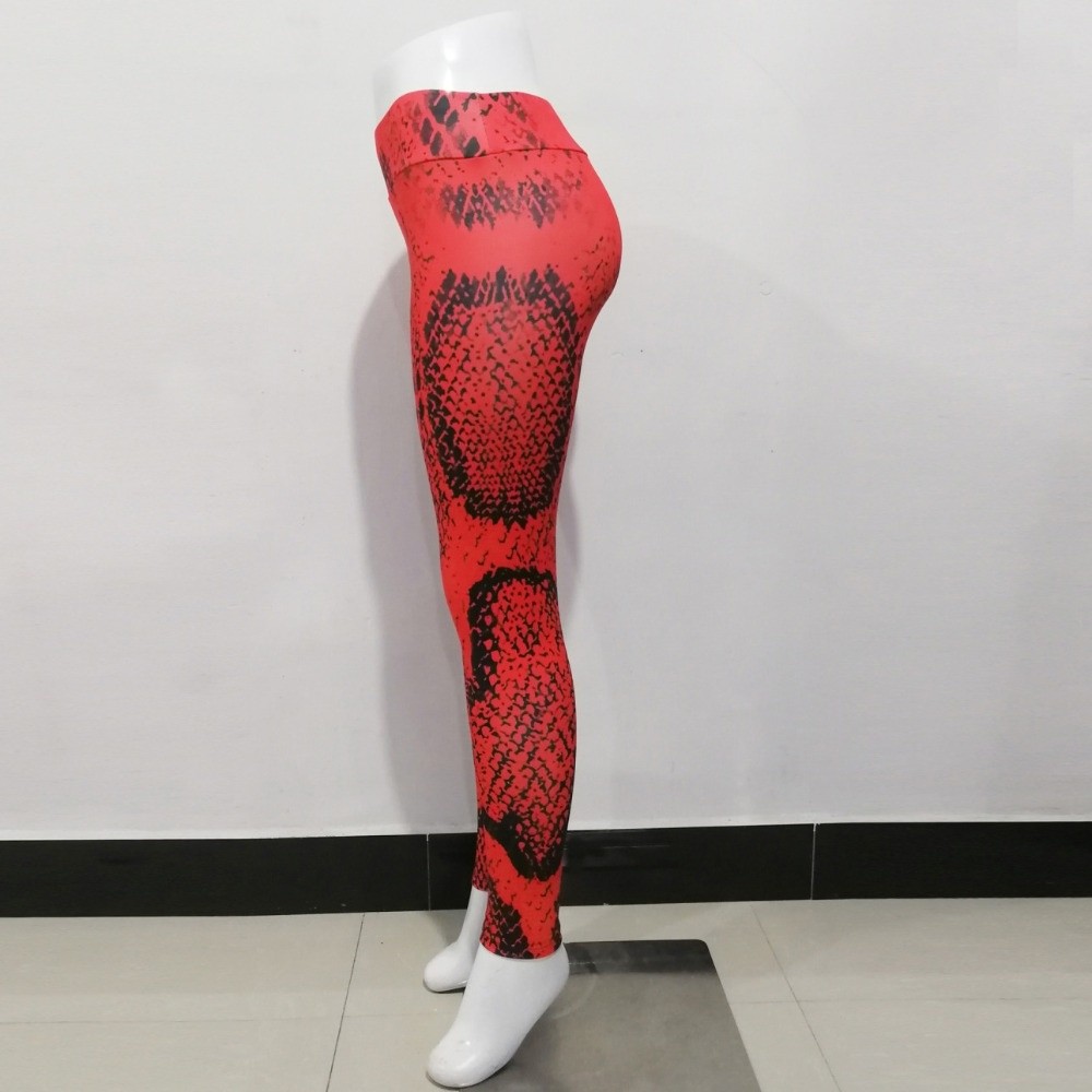 Serpentine Snake Print Legging - Pilates Yoga Legging review and price